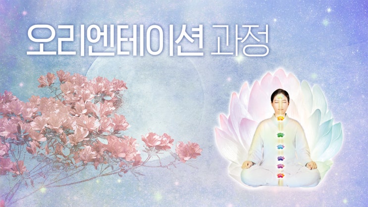  [블로그 필사] 조화신선을 인증하는 선정화仙定花문화(빛꽃문화)
