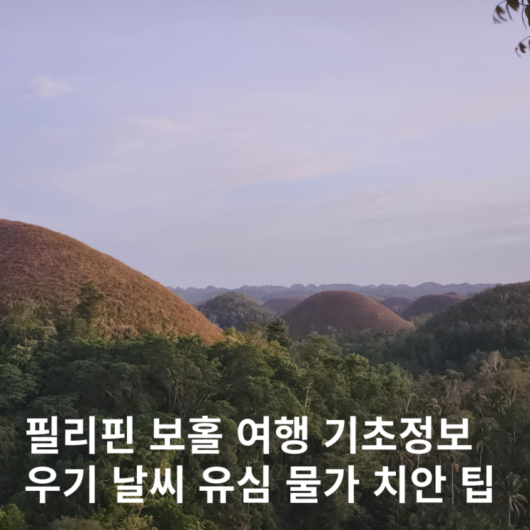  필리핀 보홀 11월 12월 날씨 우기 유심 물가 치안 마사지 팁 전압