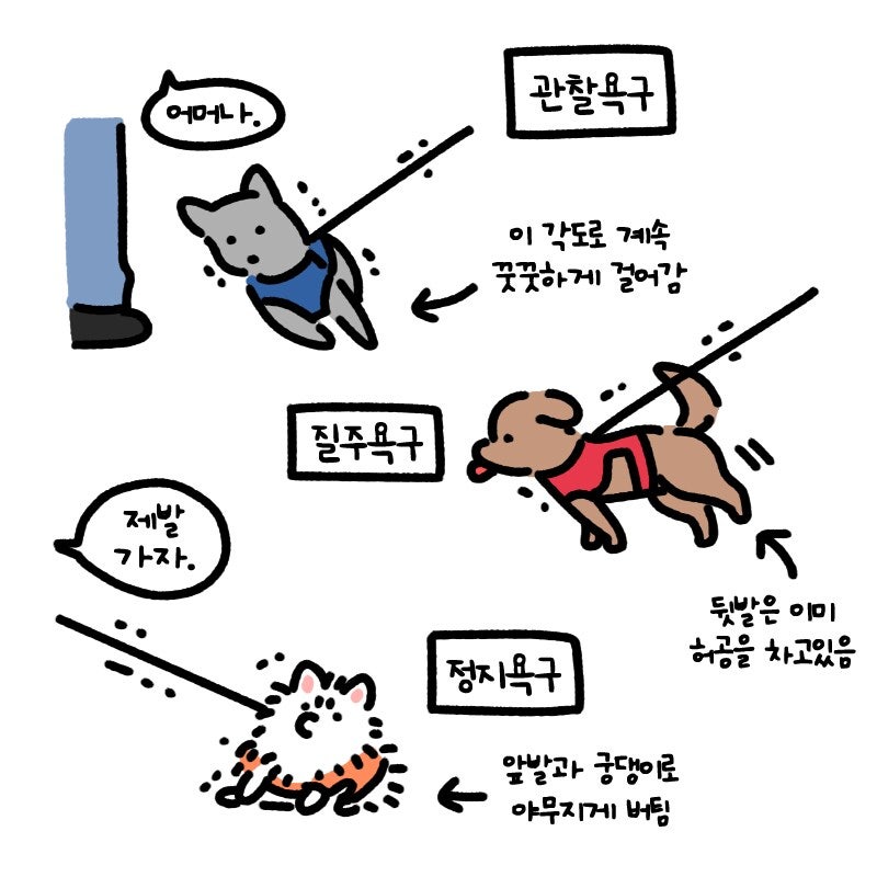 사진 8