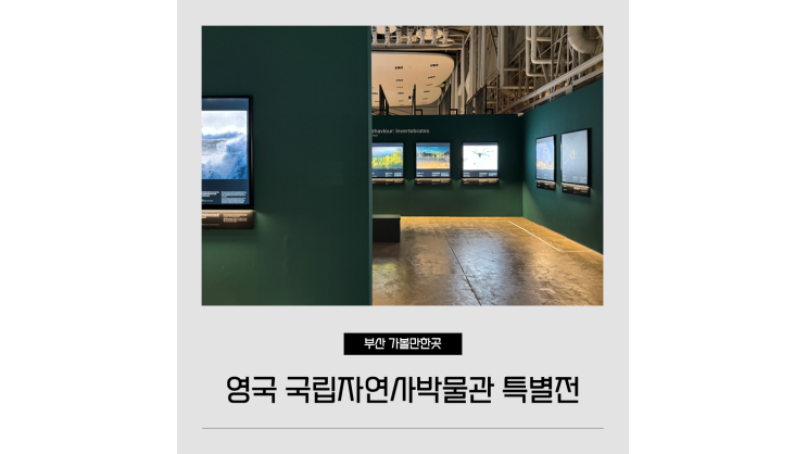  영국 국립자연사박물관 특별전 부산 전시회 추천 실내 가볼만한곳