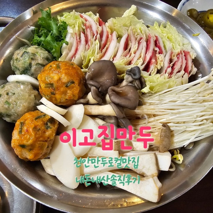  이고집만두 천안로컬맛집 내돈내산솔직후기
