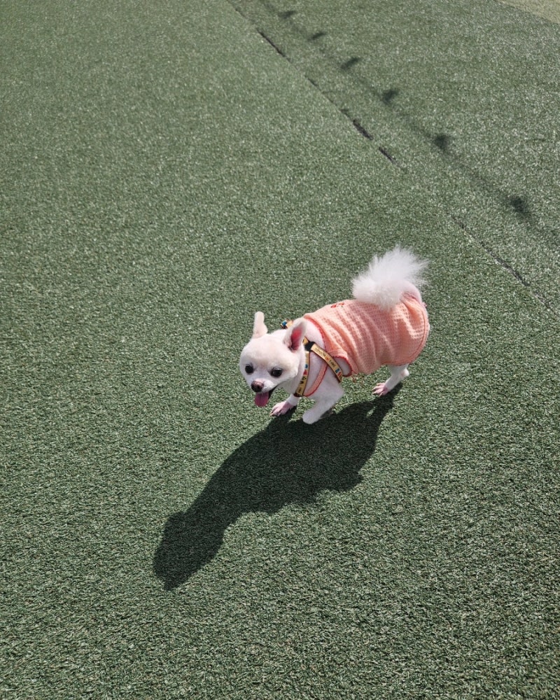 사진 6