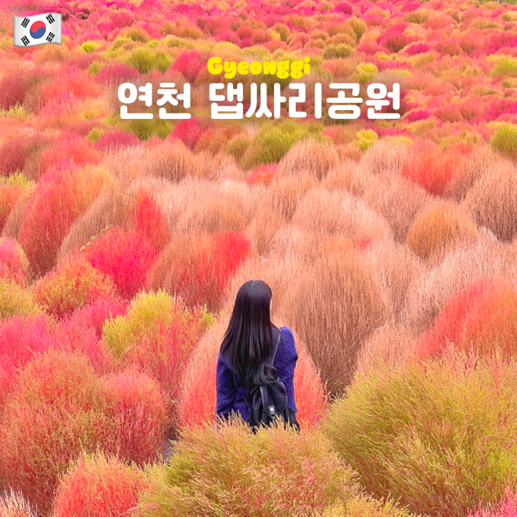 경기도 연천 임진강 댑싸리공원 축제 맛집 입장료 주차 강아지