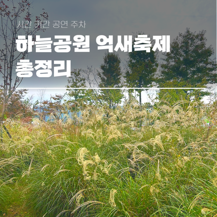  2024 하늘공원 억새축제 시간 기간 공연 주차 총정리