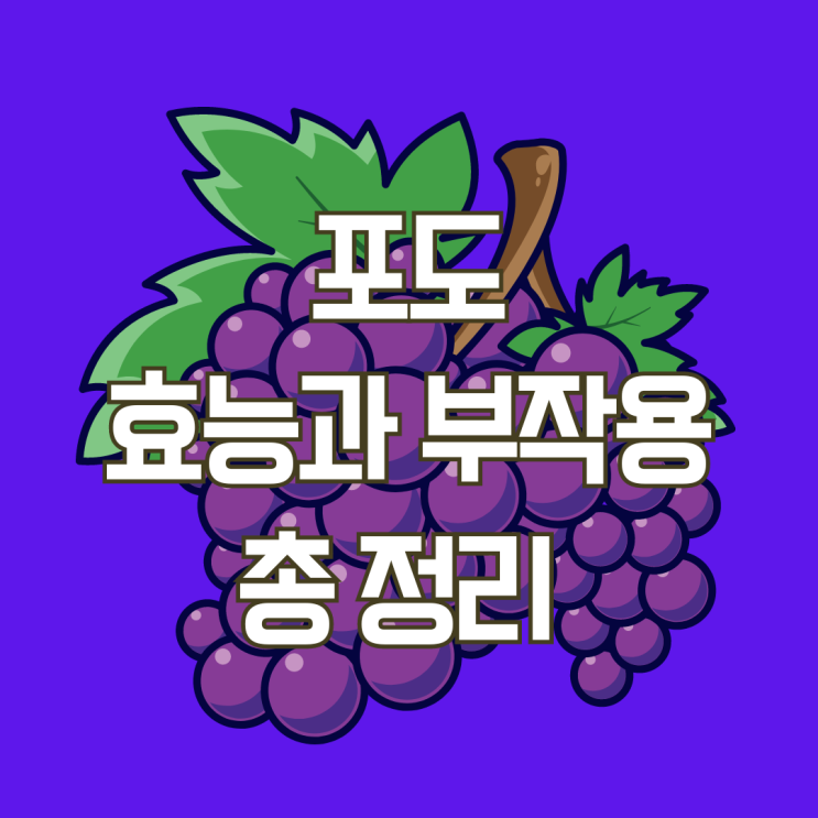  포도 1개당 칼로리 영양성분 효능과 부작용 총 정리