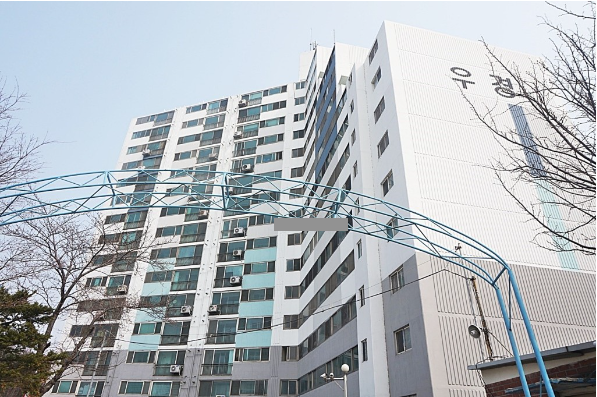 자규네 사진 6