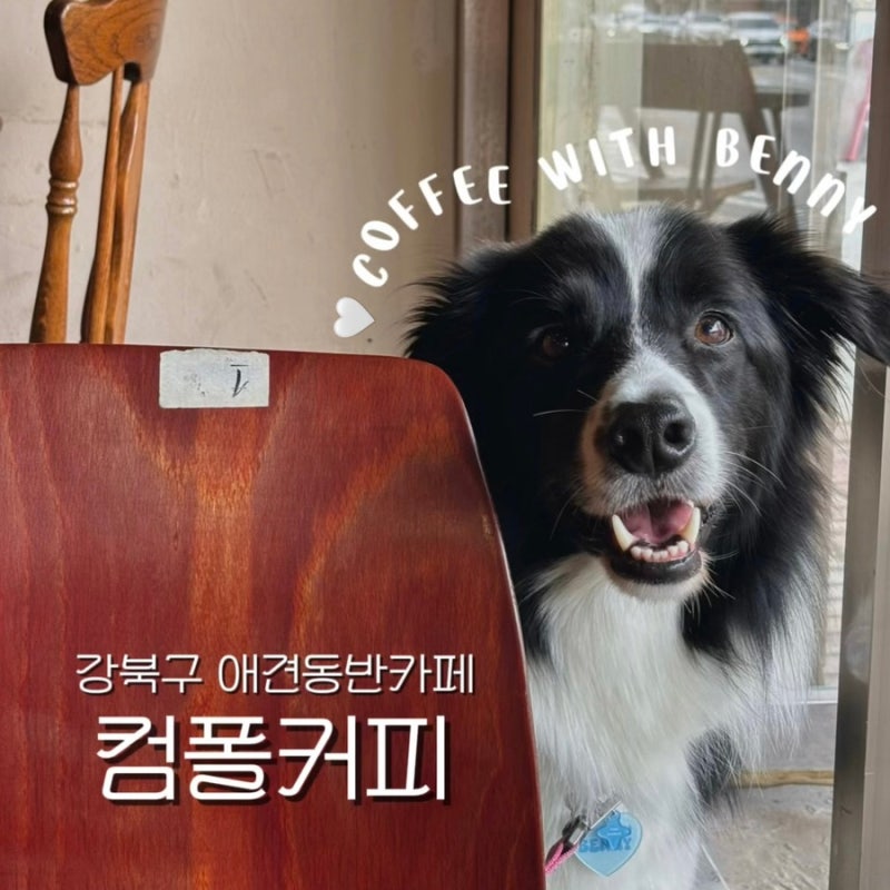 사진 4