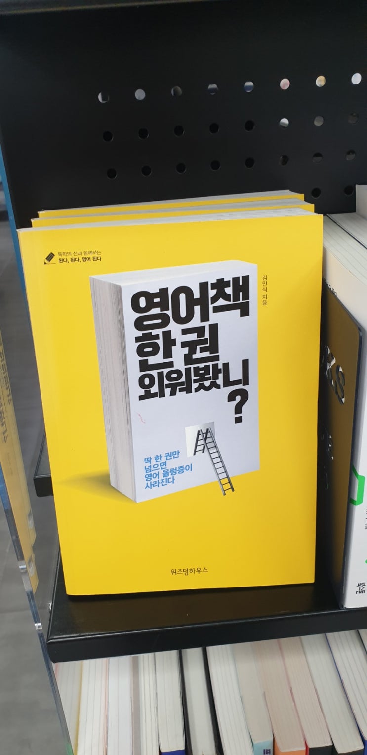  대구에서 일상; 동대구역 알라딘; 미니 사과; 대도시의 사랑법; 조카 돌잔치