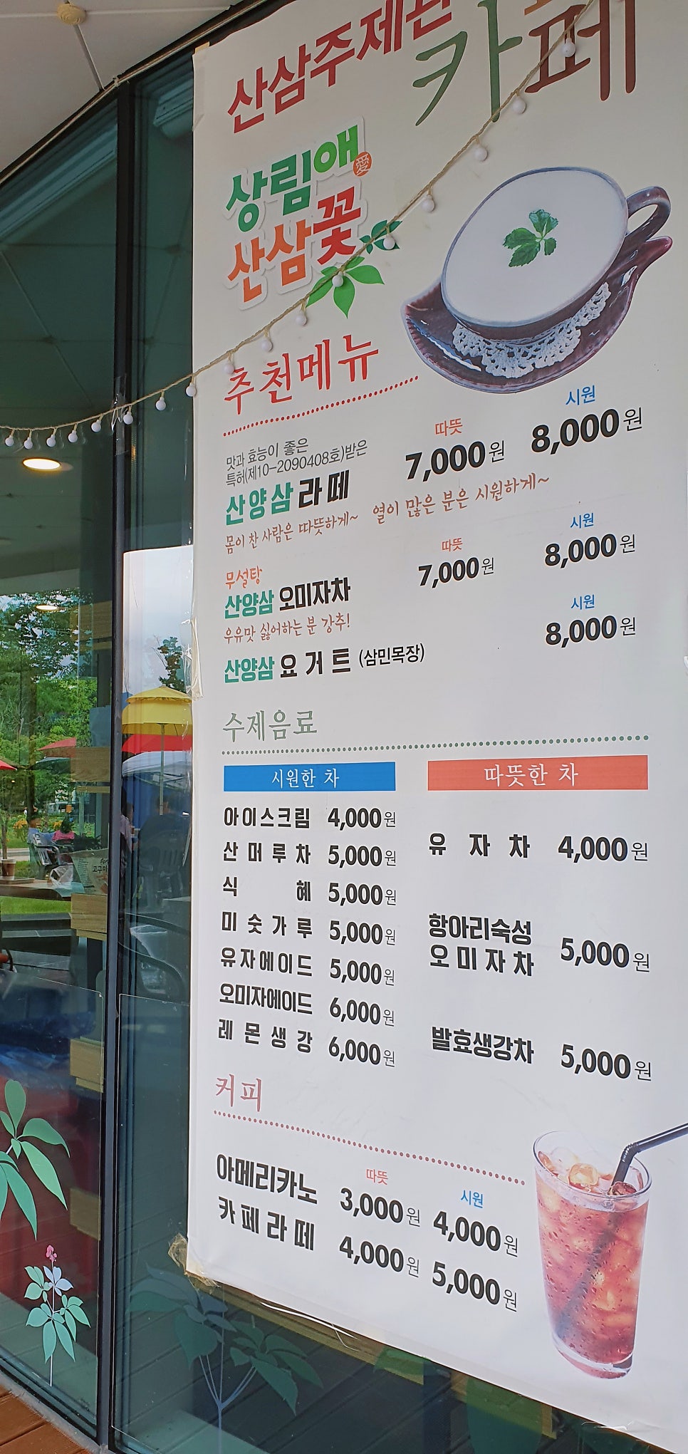 상림애산삼꽃 사진 4