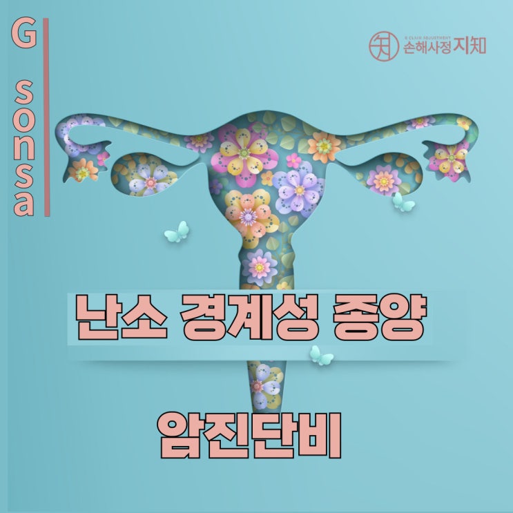  난소 경계성 종양(D39) 보험 청구, 남양주 다산동에서 알아야 할 핵심 포인트
