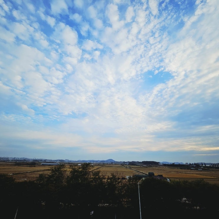  241013 직장일기 이직3개월 비로소 보이는 것들