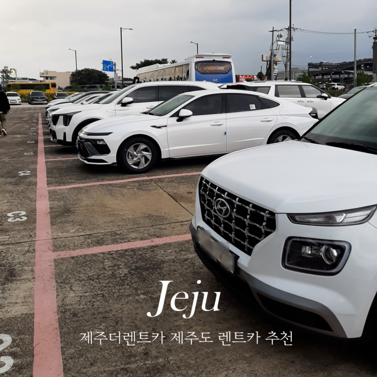  제주렌트카 저렴한 제주THE렌트카 제주도렌트카 추천
