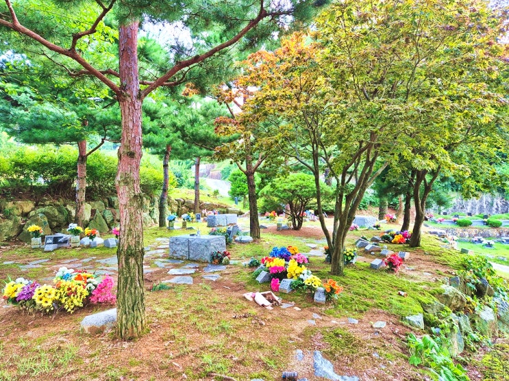  자연장 뜻과 유형 알아보아요