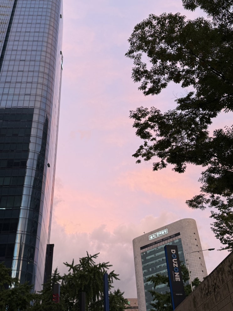  정신없었던 이번 주 반백수 일상