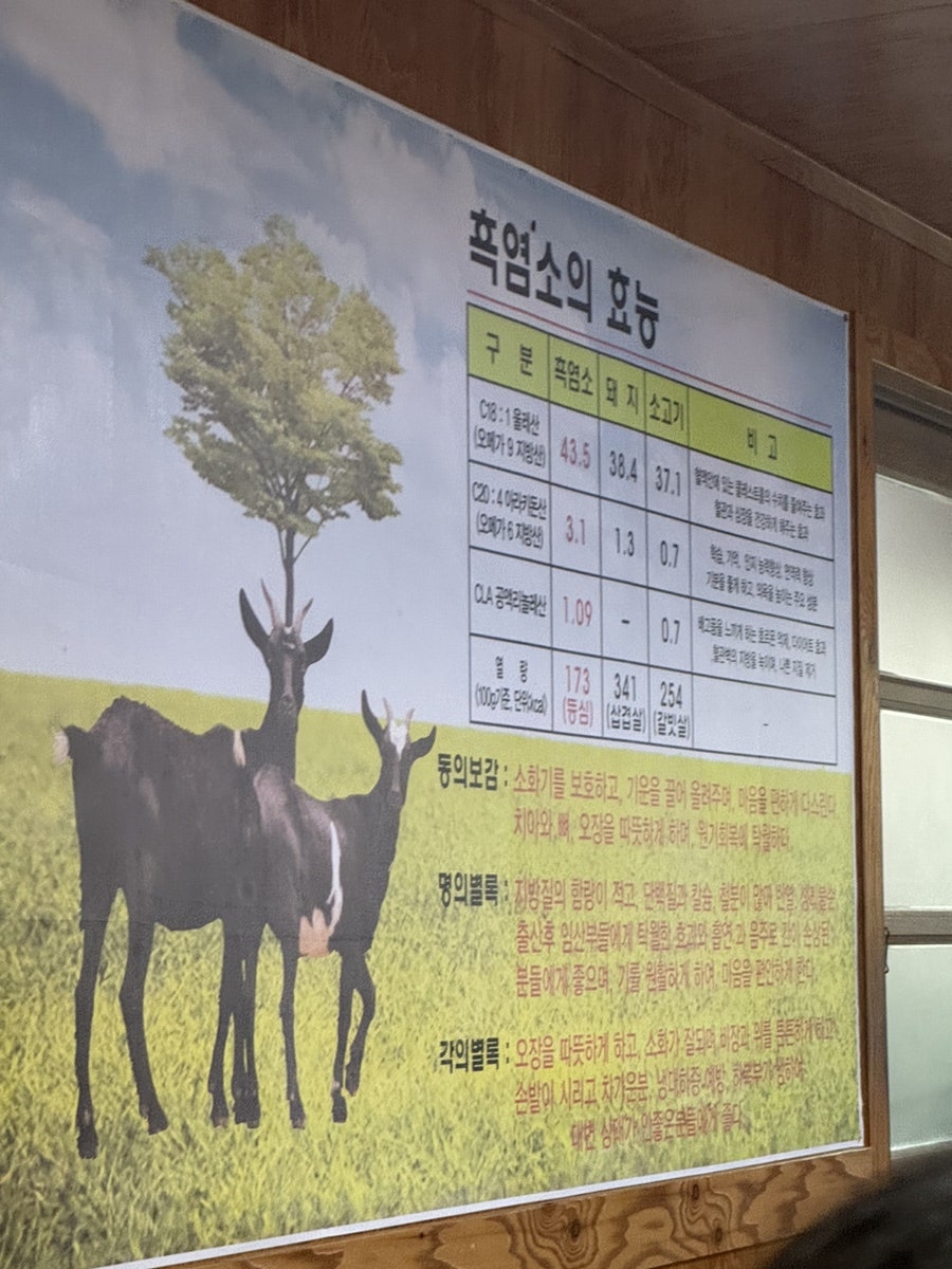 송벌 사진 5
