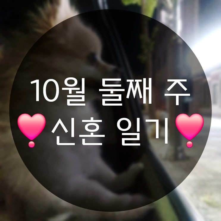  10월 둘째 주의 신혼 일상기록(춘천왕짱구 다이어트성공?)