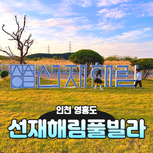 사진 7