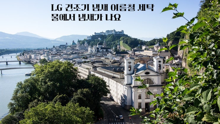  LG 건조기 냄새 여름철 세탁물에서 냄새가 나요