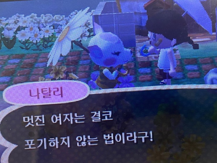  10월 둘째주 : 생일과 출국 준비 주간