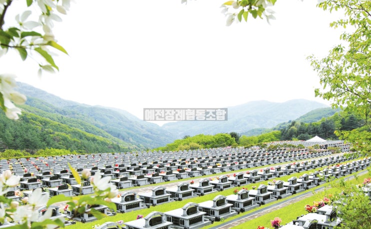  동두천 공원묘지 가족묘 평장묘,봉안묘 대가족을 위한 가족묘