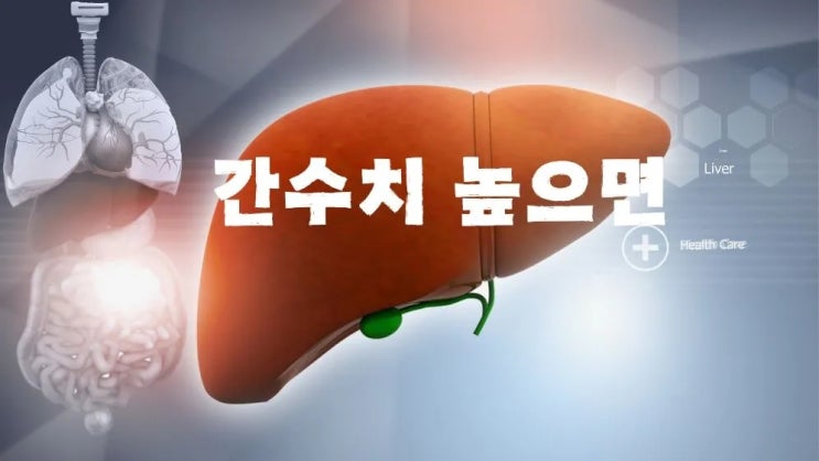  간수치 높을 때 증상 간수치 높으면 위험한 이유 간의 역할