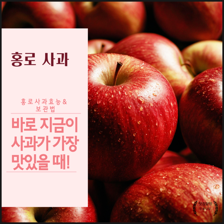  홍로사과보관법과 효능 어떻게 보관해야 할까요