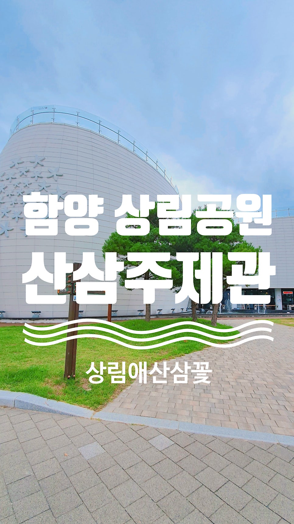 상림애산삼꽃 사진 1