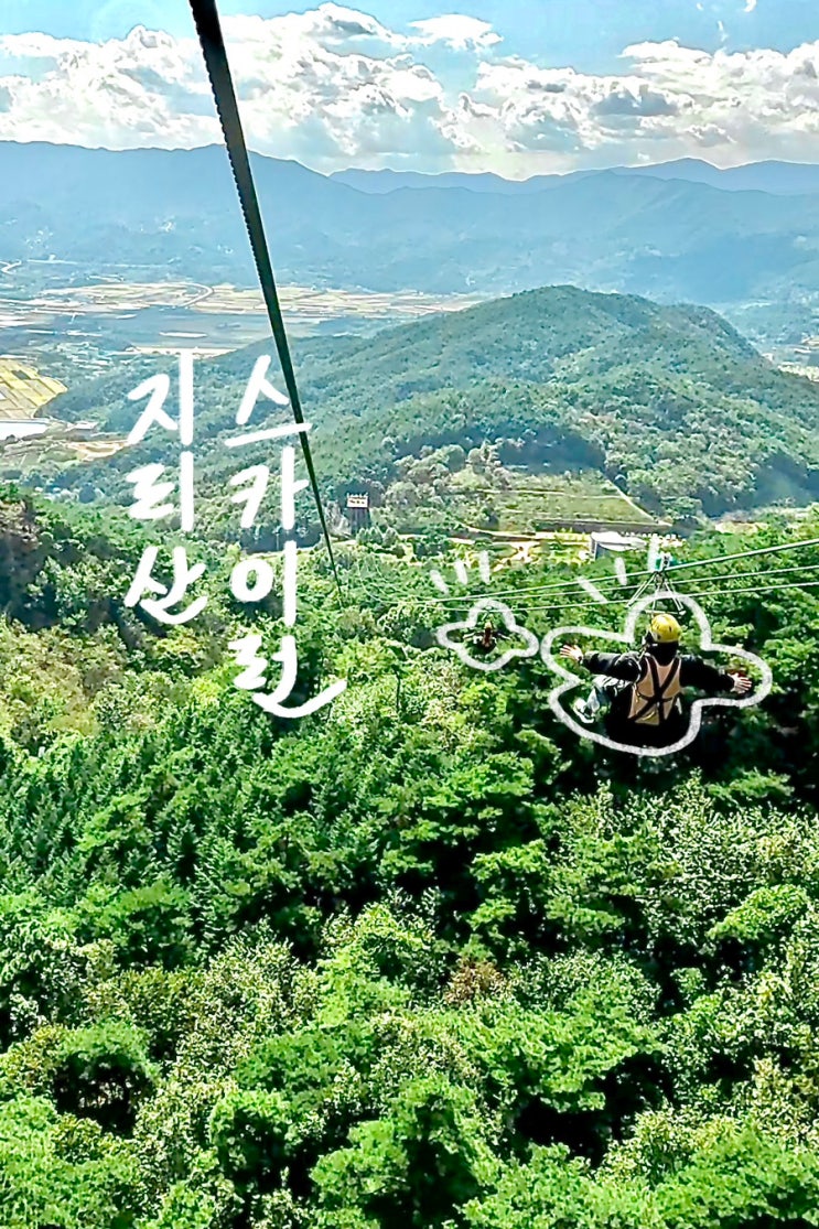  전남 구례 액티비티 짚라인 <지리산 스카이런> 가격, 기본정보, 체험 후기