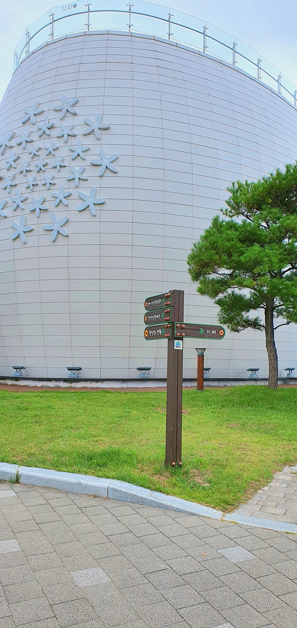 상림애산삼꽃 사진 2