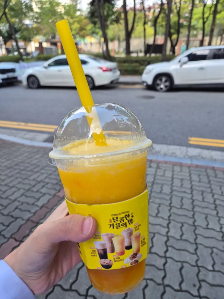  메가 커피 귤 톡톡 젤리 스무디 솔직 후기