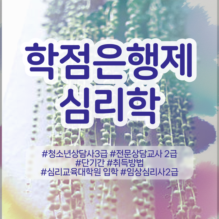  조직 심리학 , 심리학사 취득 학은제 동영상만 듣고 비전공자도 간편하게 완료한 후기