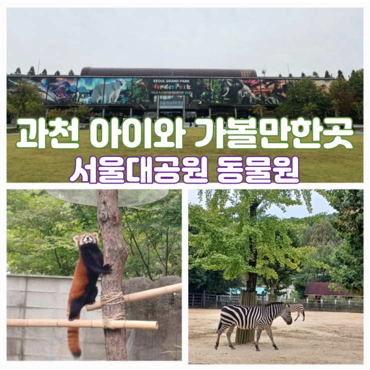 서울대공원 동물원 티켓 서울랜드 동물원 입장료 다자녀 무료 입장권 총정리 서울대공원 동물원 티켓 서울랜드 동물원 입장료 다자녀 무료 입장권 총정리