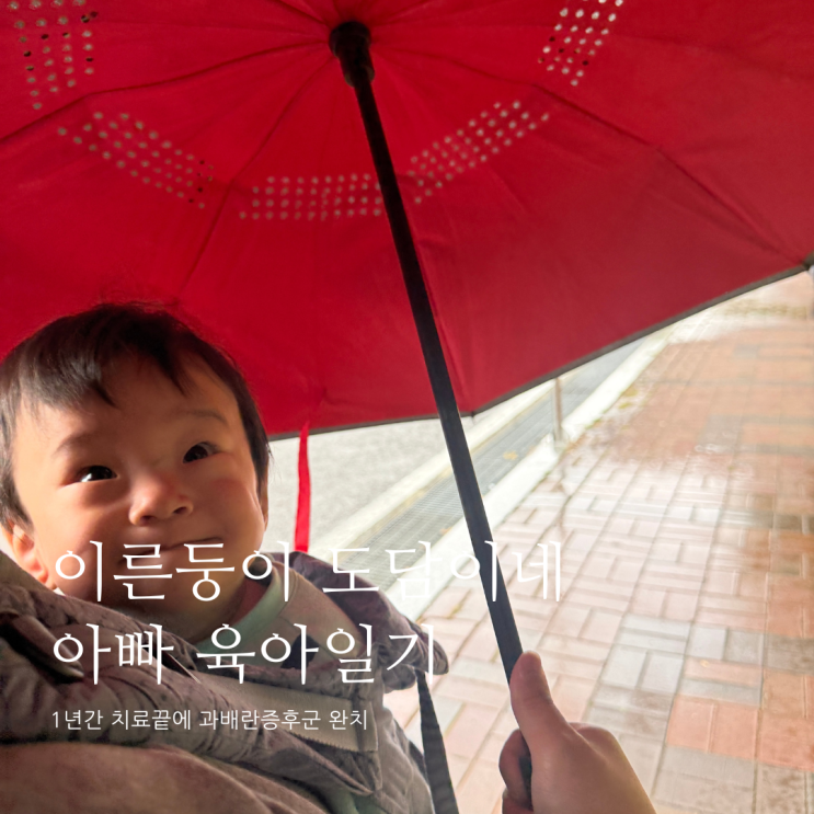 1년간 치료끝에 과배란증후군 완치 D+351 1년간 치료끝에 과배란증후군 완치 D+351