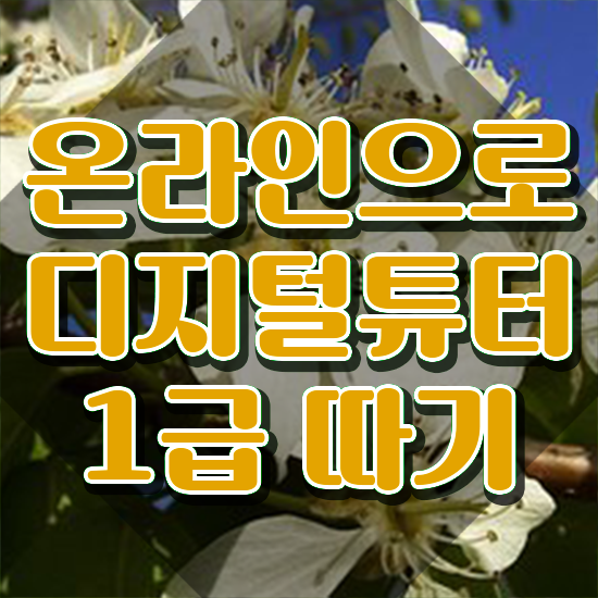  디지털튜터 교육 , 디지털튜터 자격증 취득한 과정 정보 모두 드려요