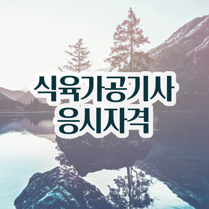  식육가공기사 응시조건 집에서 온라인으로 간단하게 준비한 전략