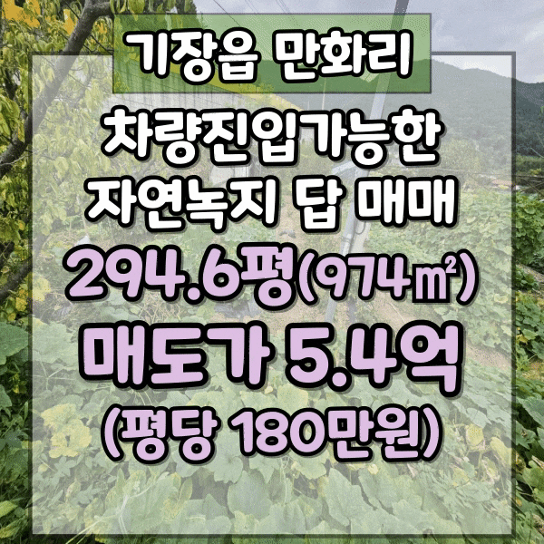  만화리 교통편리한 토지매매, 지목 답, 자연녹지지역, 차량진입가능, 농막 있어요