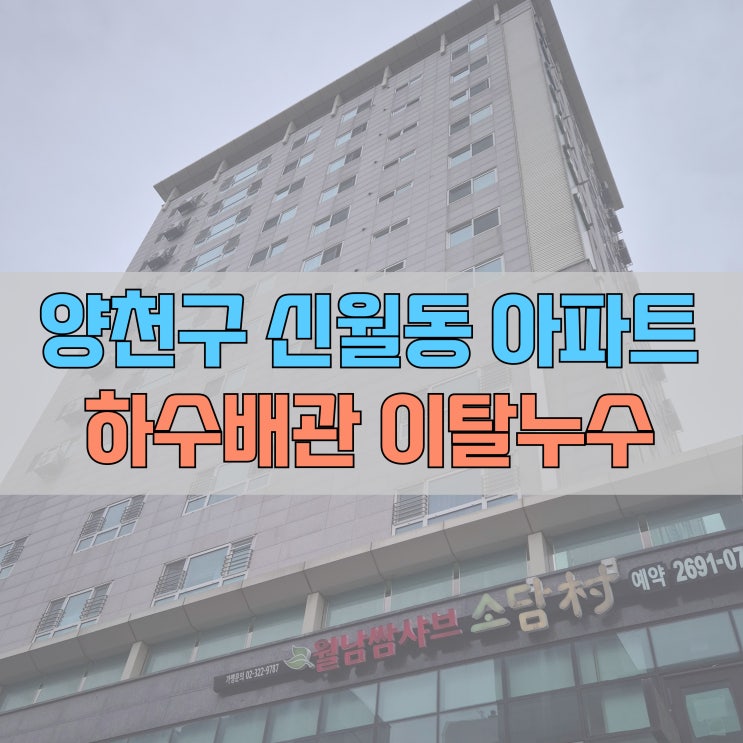  # 양천구 신월동(신월로) 흥인아이젠 하수배관 이탈 누수 #