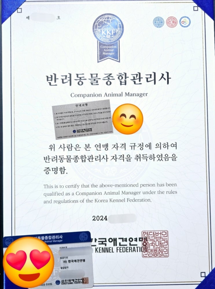  유기견 보호소, 강아지 안락사 전에 입양해요!