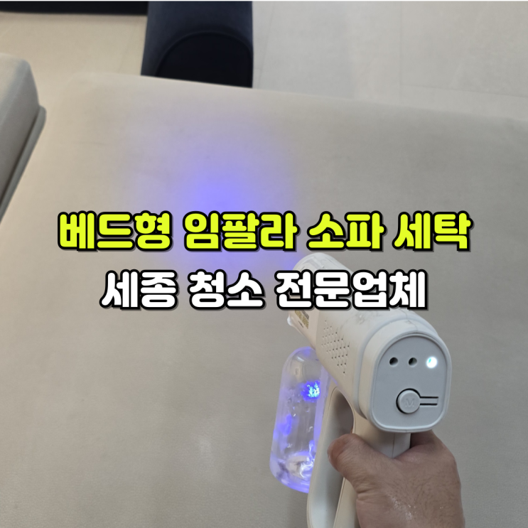  세종 베드형 임팔라 소파 청소 전문업체