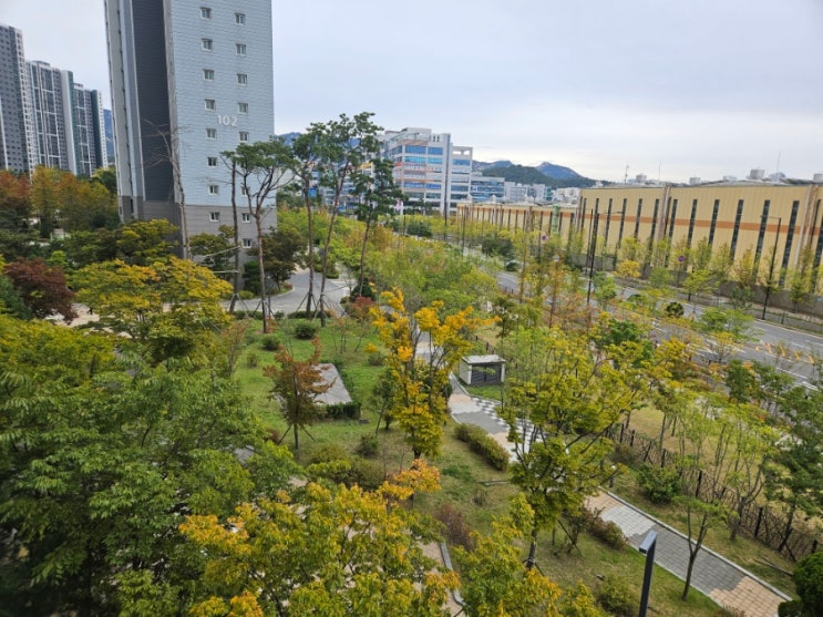  감사일기 418일차