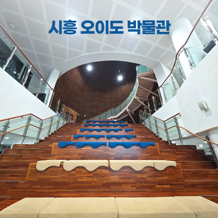 시흥 오이도 박물관 상설전시실 아이와 가볼만한곳 시흥 오이도 박물관 상설전시실 아이와 가볼만한곳