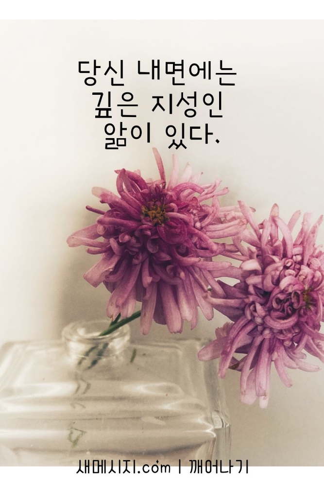 내 안에 또 다른 내가 있다? 내 안에 또 다른 내가 있다?