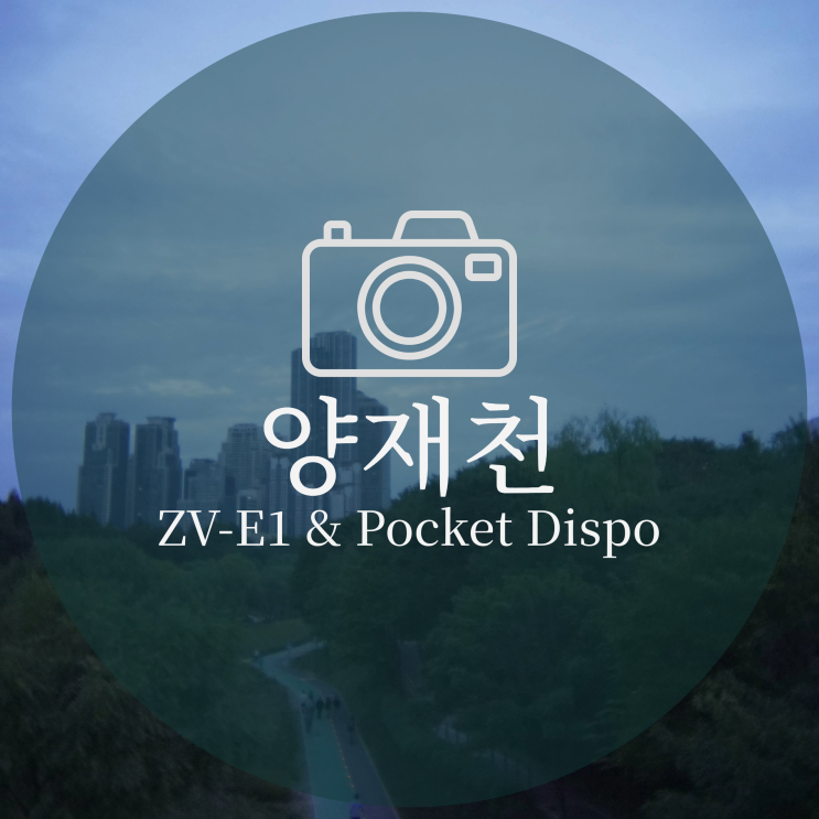  서울 양재천에서 일회용 카메라 렌즈로 사진 찍기