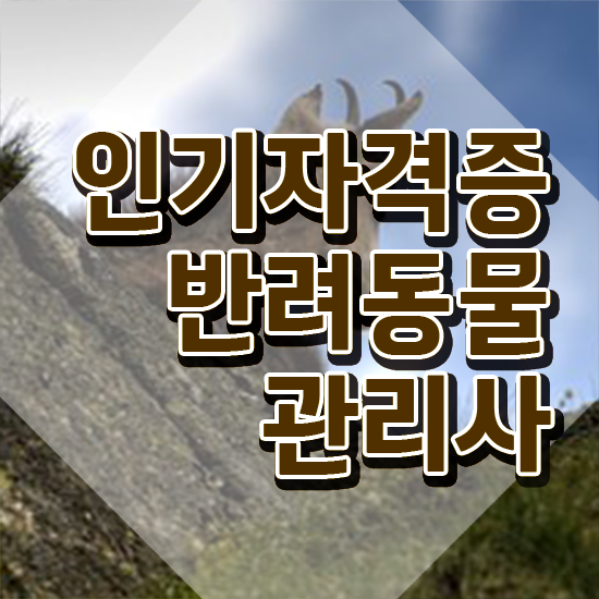  반려동물 생활관리사 , 반려동물관리사 자격증 온라인으로 간단히 취득했던 후기 , 취업 전망