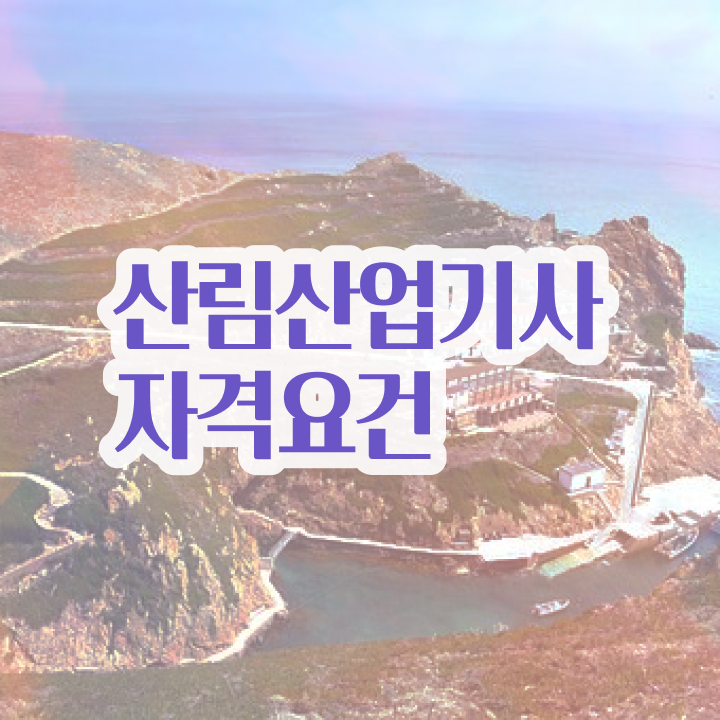  산림산업기사 자격증 산림산업기사 시험응시자격 온라인 과정으로 간편하게 성공한 전략