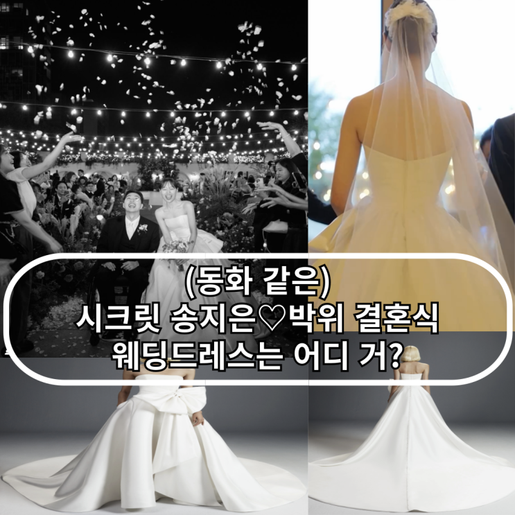  (동화 같은) 송지은 박위 결혼식 웨딩드레스는 어디 거?