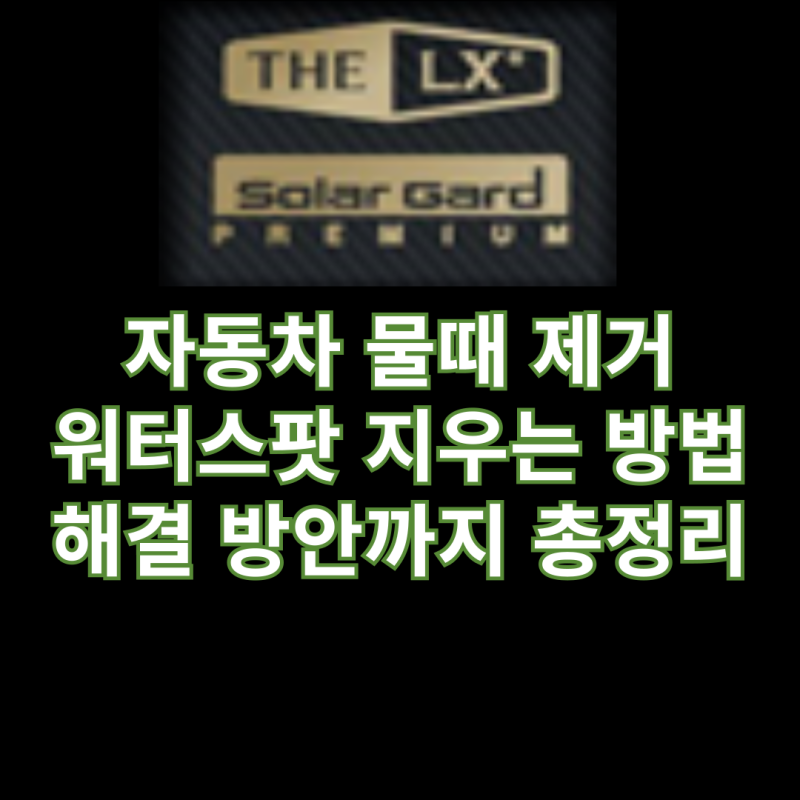 자동차 물때 제거 차량 워터스팟 지우는 방법 예방까지 총정리