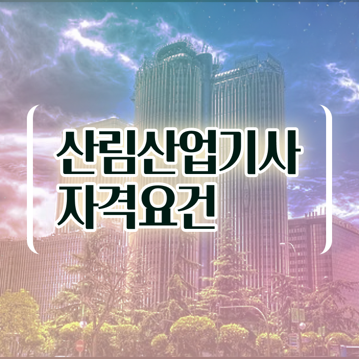  산림산업기사 작업형 산림산업기사 응시자격 온라인 과정으로 편하게 준비한 과정