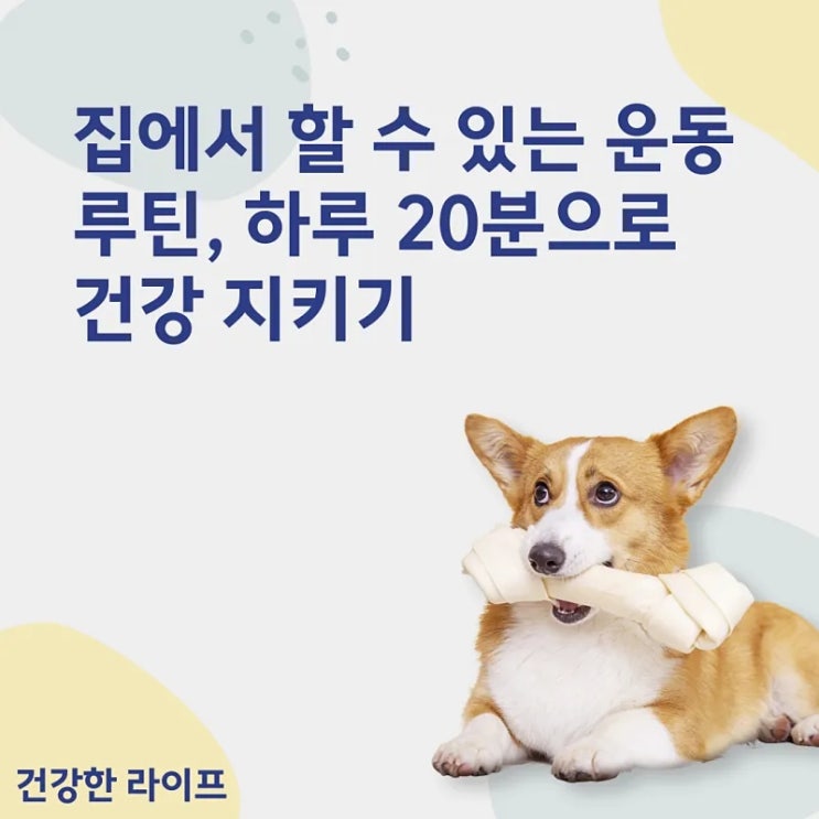  집에서 할 수 있는 운동 루틴, 하루 20분으로 건강 지키기