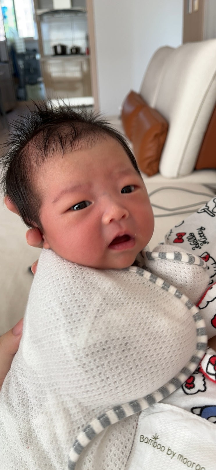  모아서 올리는 가을날의 소소한 일상모음집